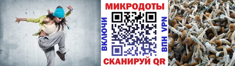Галлюциногенные грибы Cubensis  где купить наркоту  Камышин 