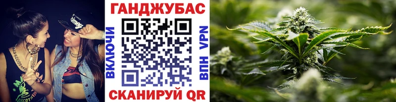 купить наркотики цена  Камышин  мега вход  Канабис THC 21% 